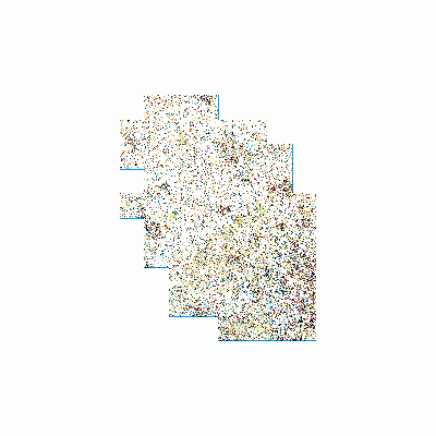 Export Image