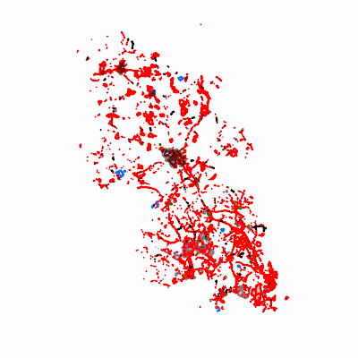 Export Image